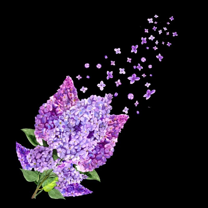 Fleurs de beaucoup de fleurs printemps flow lilas d’été