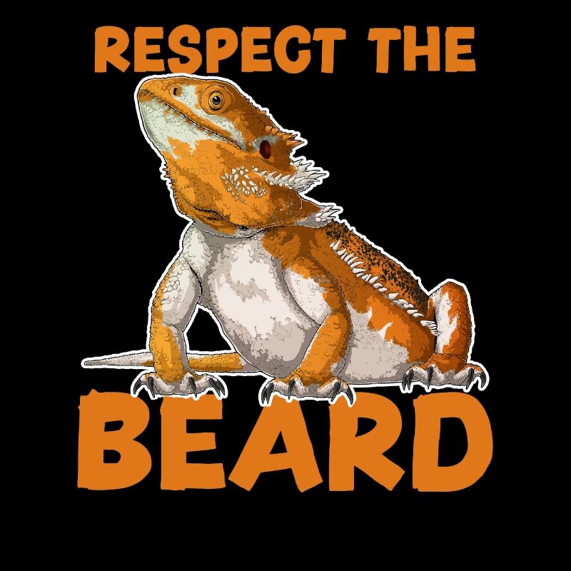 Dragon barbu - Respectez la barbe