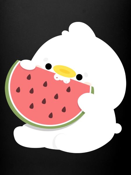 Duck Watermelon