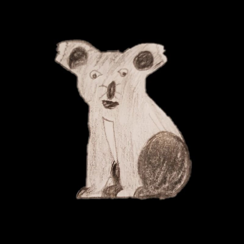 Koala bear