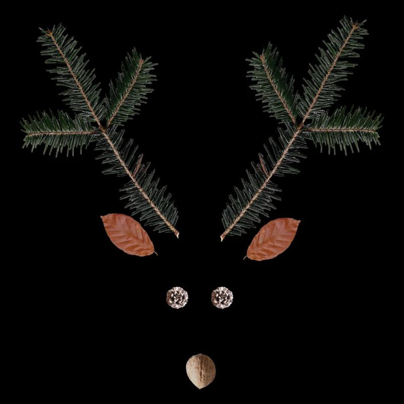 Reindeer Christmas