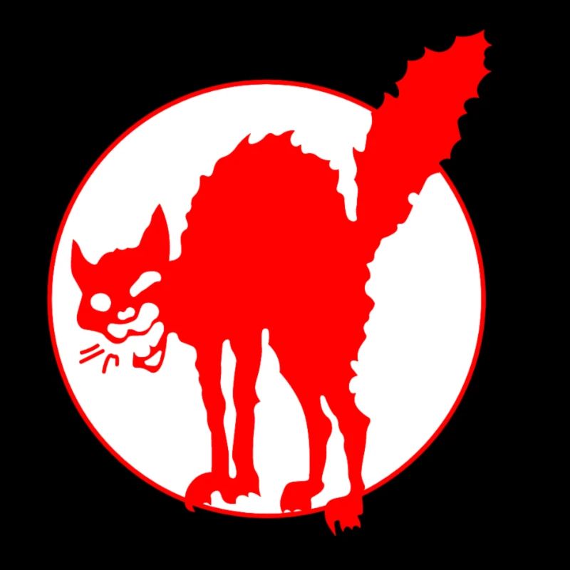 Chat anarchique