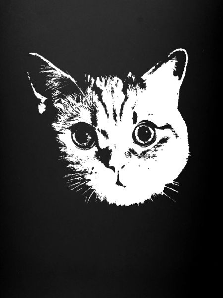 Chat, Chats