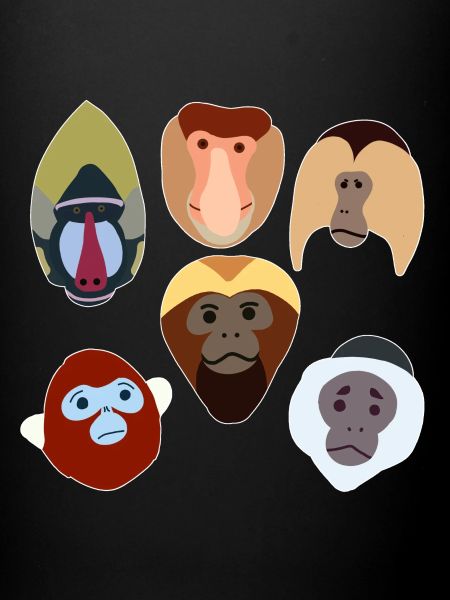 Singes
