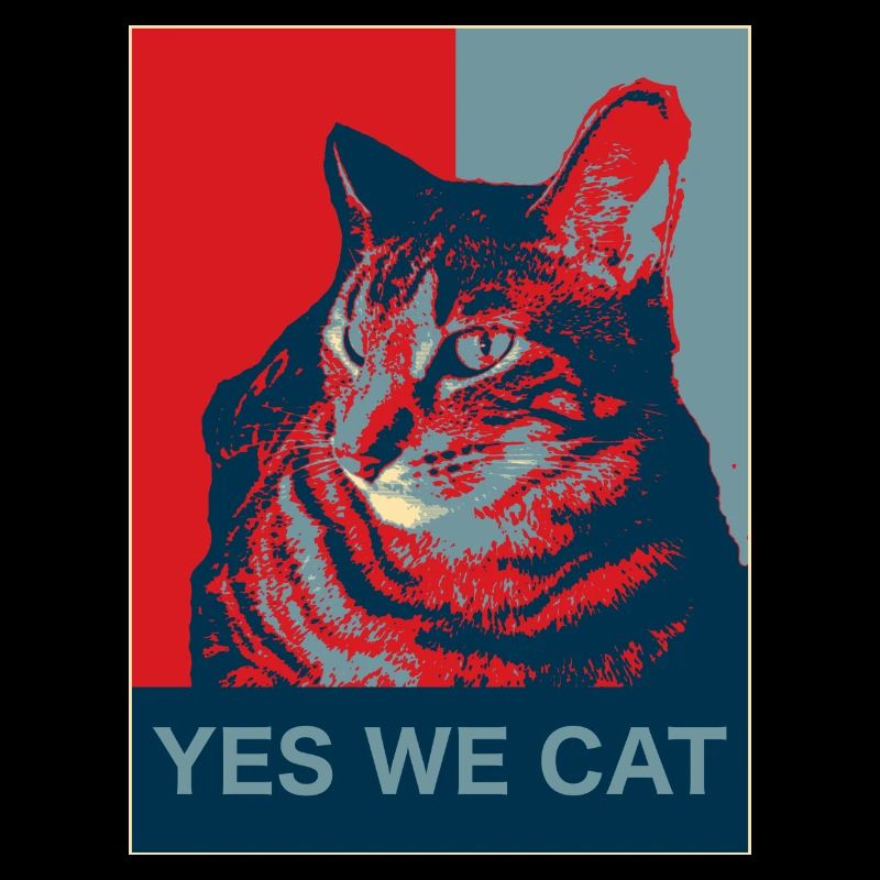 Yes we Cat