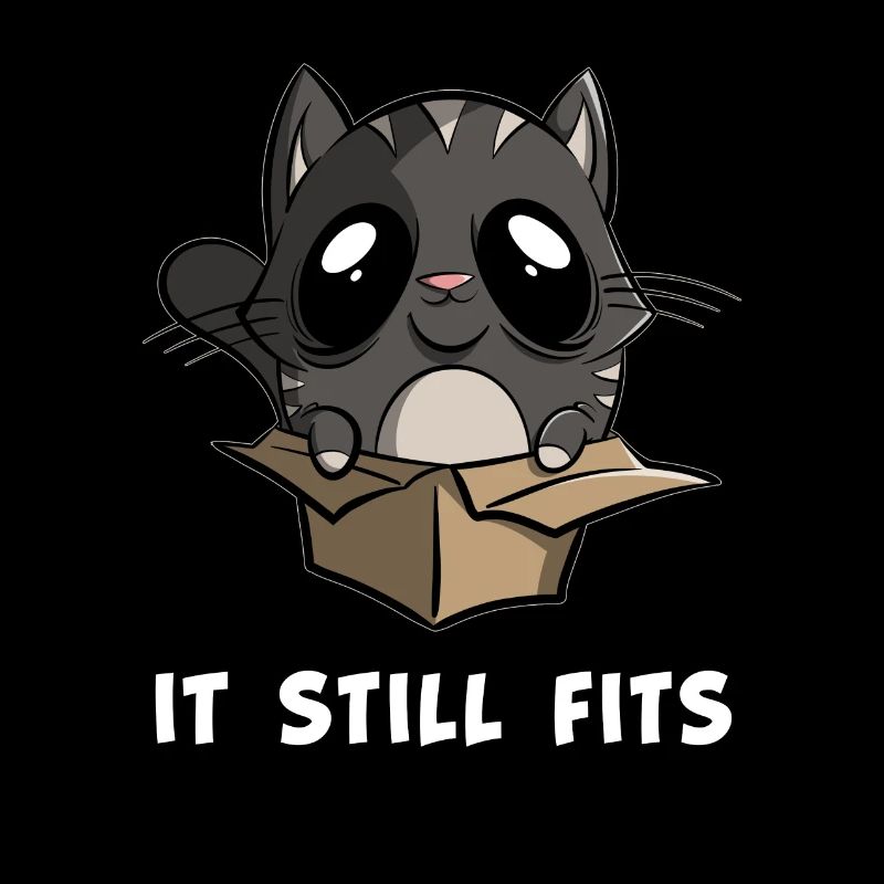 It still fits - Katze im Karton