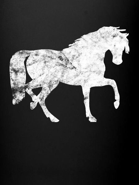 pony