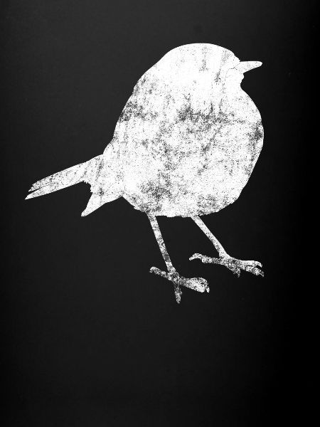 Club d'observation d'oiseaux