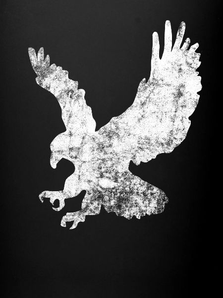 Observation d'oiseaux de proie