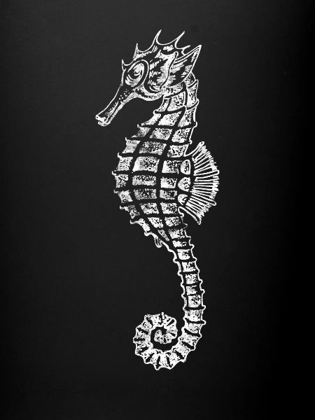 hippocampe