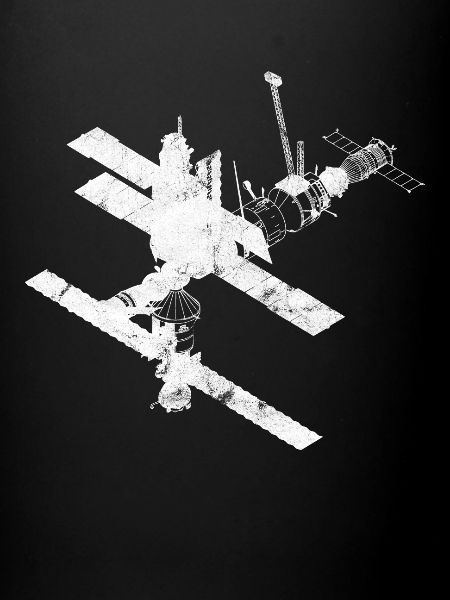 cosmos