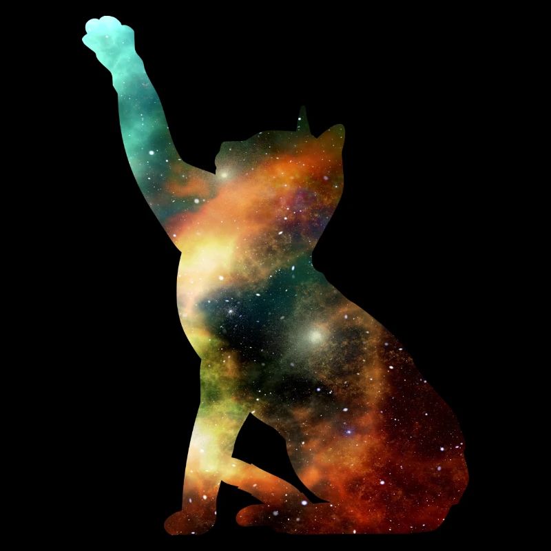 Cat galaxy