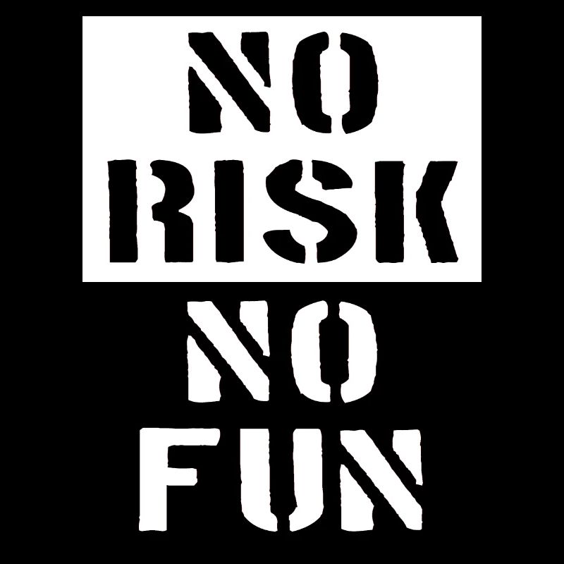 No Risk No Fun - No Risk No Fun
