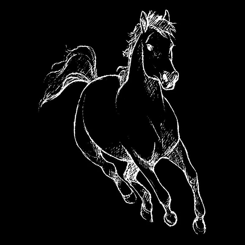 Pferd Pferdchen Reiten Hobby Geschenkidee