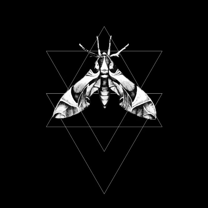 Moth