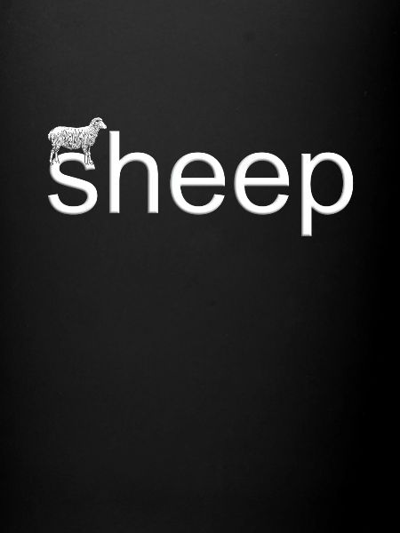 Sheep | Sheep