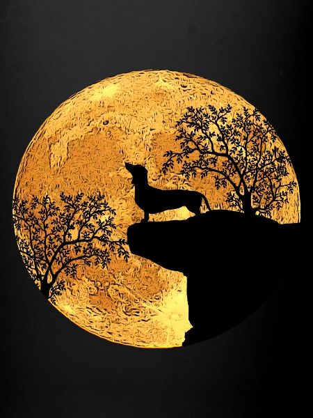 Teckel devant la lune