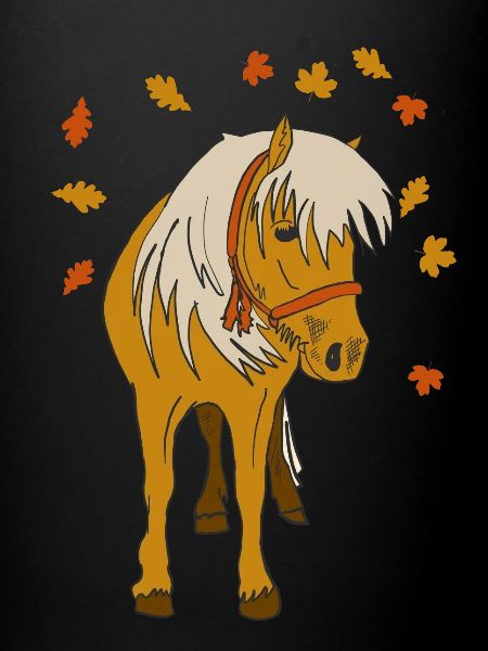 Shetland Pony