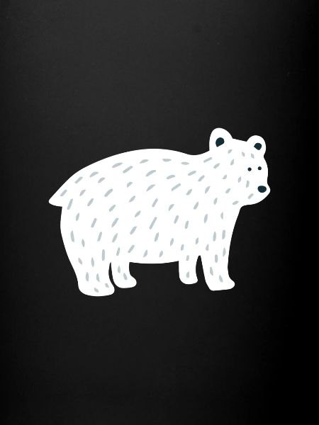 Polar bear | Bestseller |