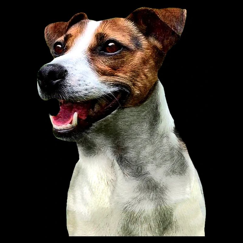 Jack Russell