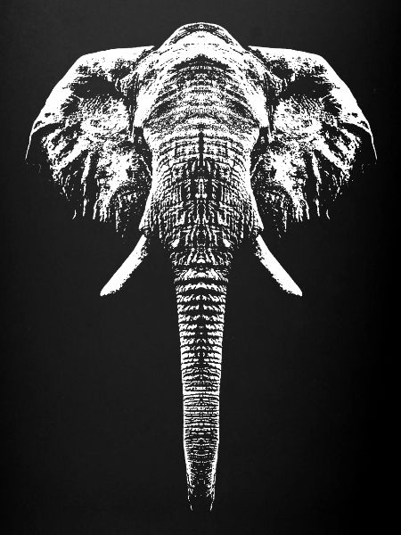 Eléphant / Portrait / Graphique
