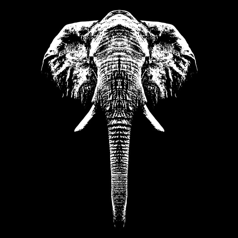 Eléphant / Portrait / Graphique