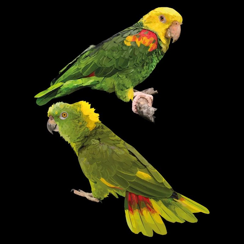 Perroquets