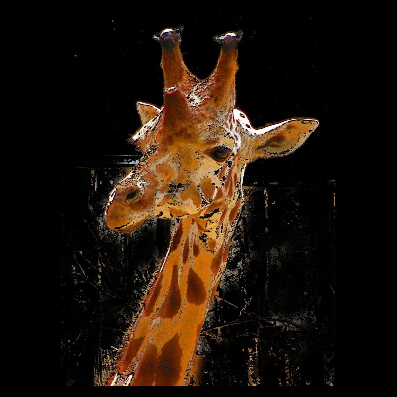 Girafe
