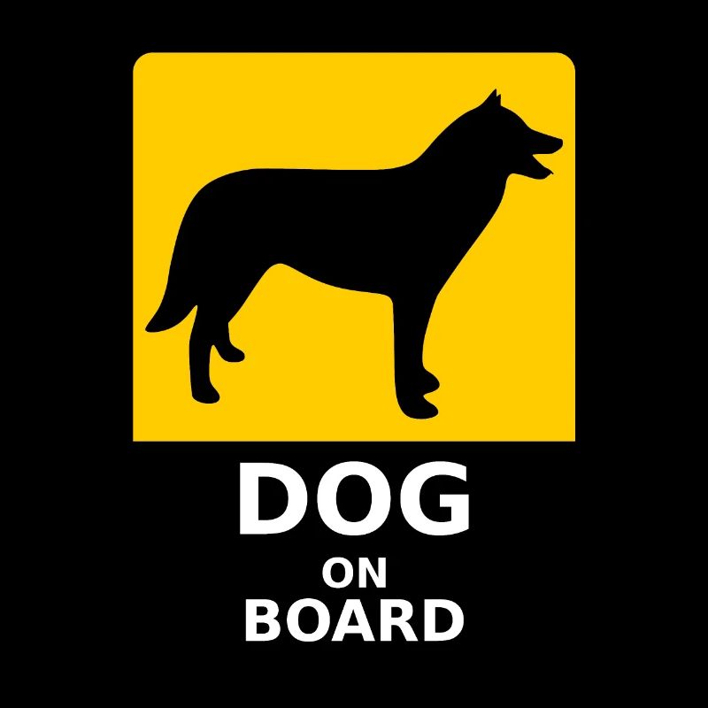 Hund an Bord