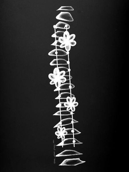 Fusion vertébrale monochrome blanc