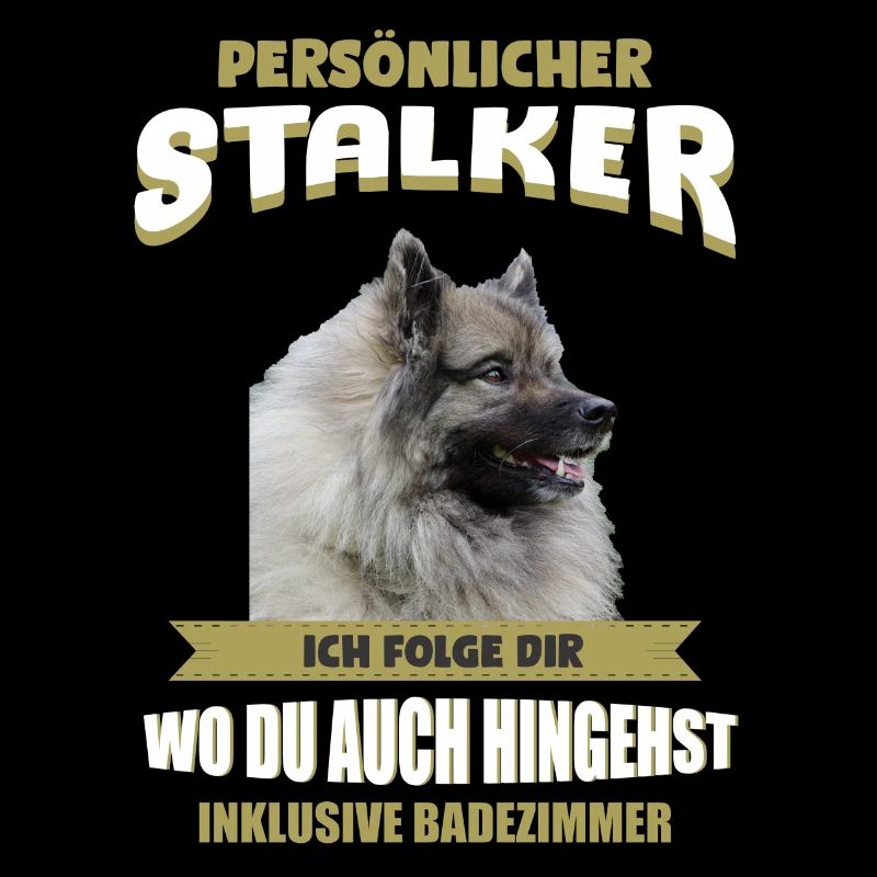 Wolfsspitz Hund - Wolfsspitz