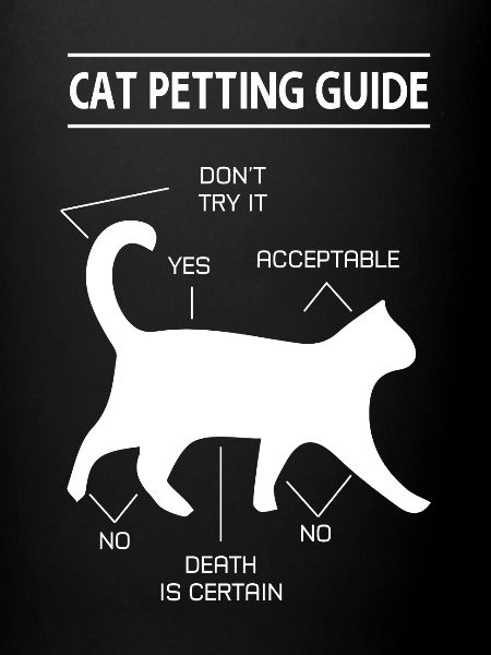 chat chat caresser guide