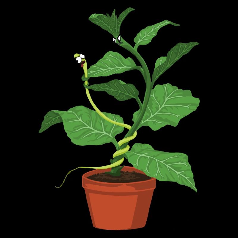 Kampf unter Pflanzen