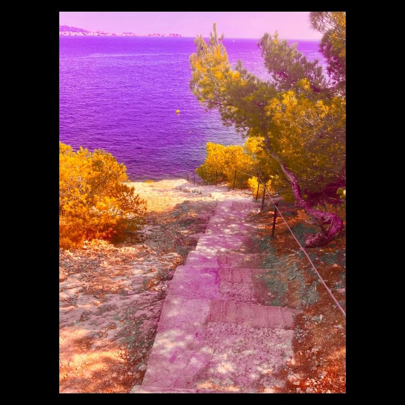 Purple