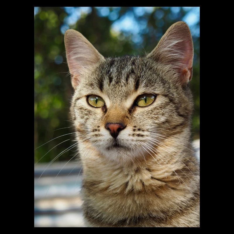 AB836317 CC3F 40C4 9439 E57ED1DA83CF