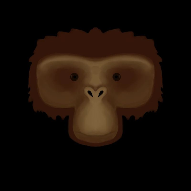 monkey