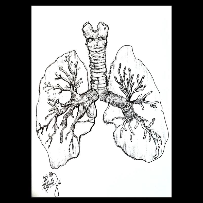 FunWithLungs