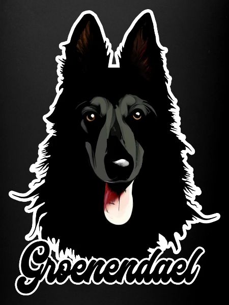Belgian Shepherd Groenendael