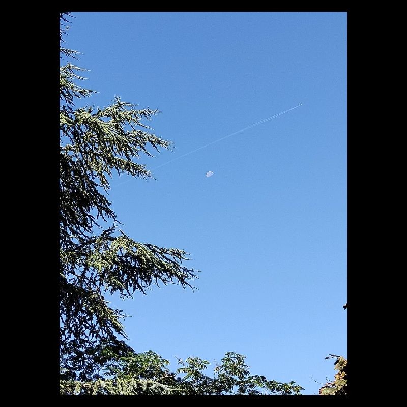 Lune matinale et avion