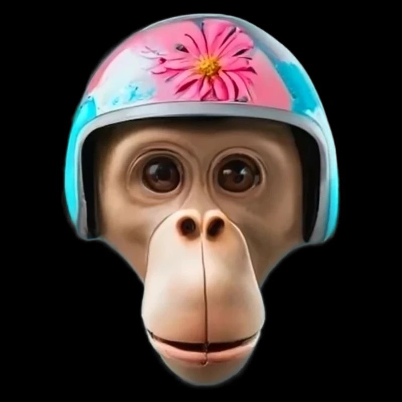 Monkey with vintage helmet