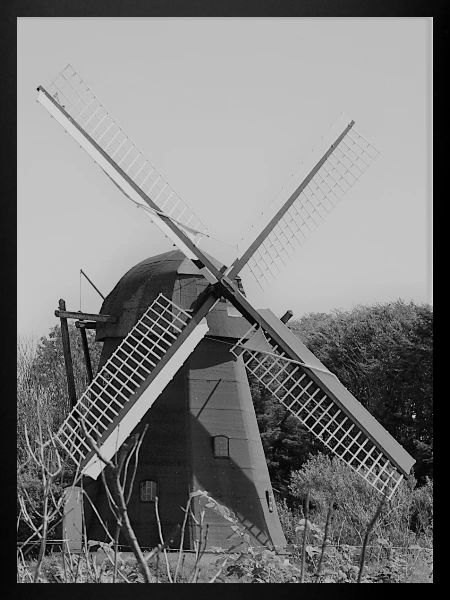 windmill