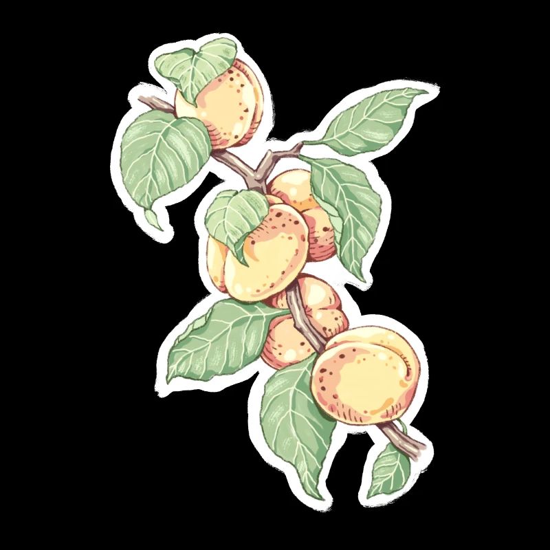 Ein Zweig Aprikosen oder Pfirsiche