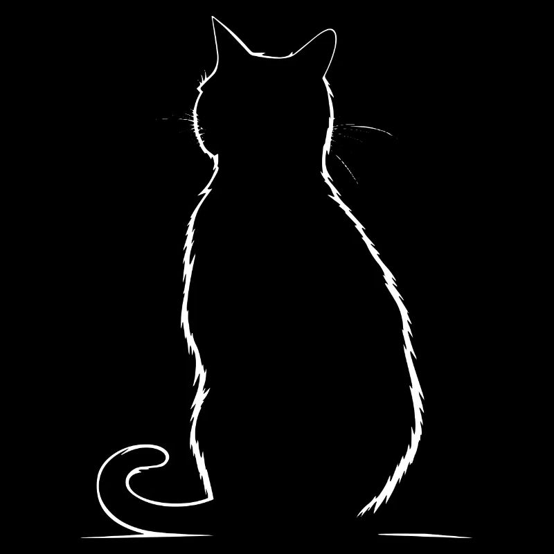 Chat, Motif De Chat