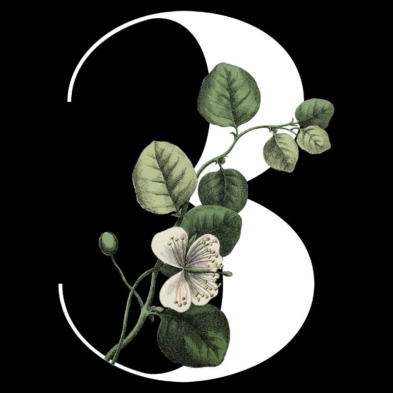 Nummer 3 Blumengrün -3. Blumengeburtstag