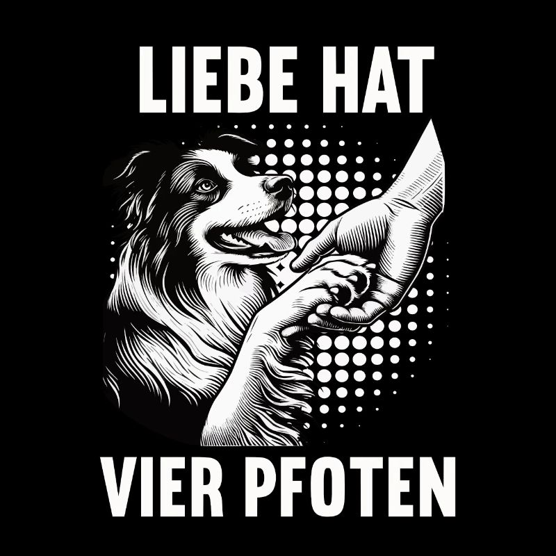 Liebe hat Vier Pfoten Border Collie Collies