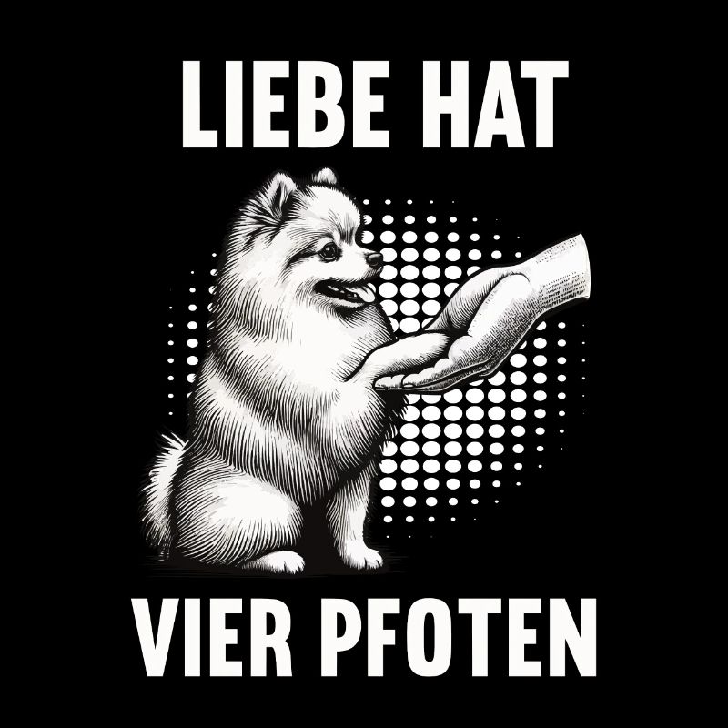 Liebe hat Vier Pfoten Zwergspitz Spitz Spitzhund