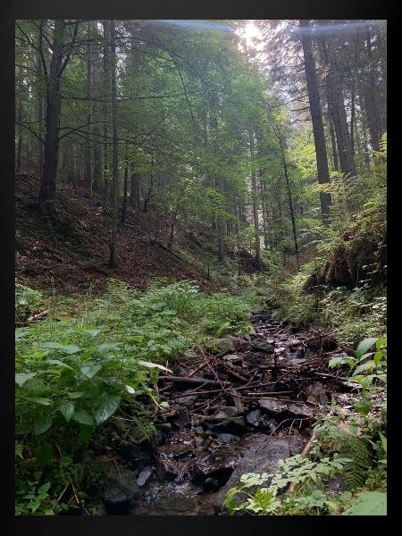 Nature