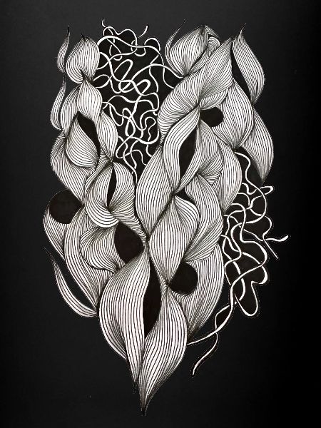 Plexus cardiaque entrelacé