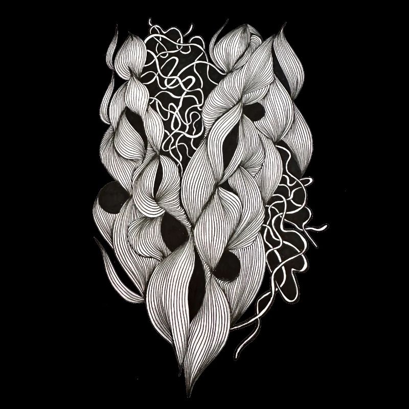 Plexus cardiaque entrelacé