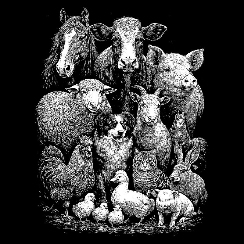Animaux de la ferme